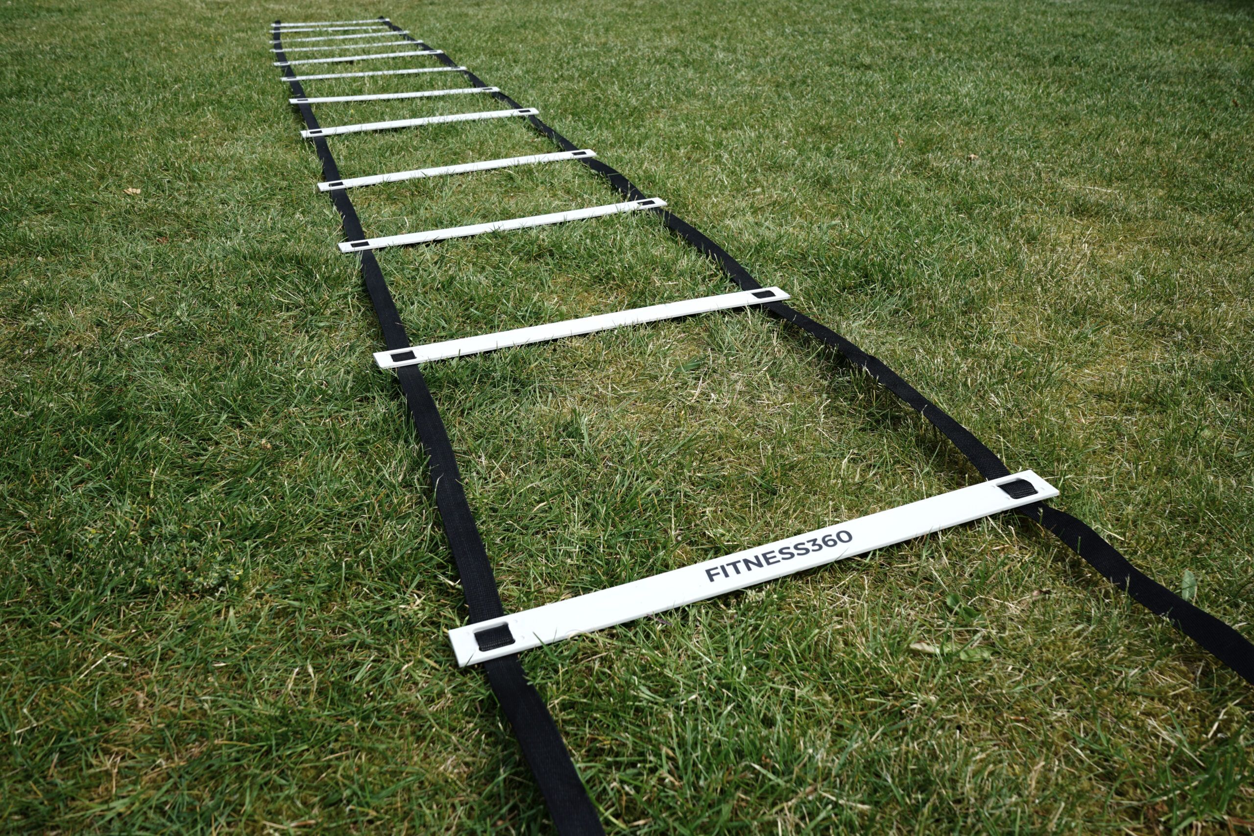 Agility Stige - Træningsstige