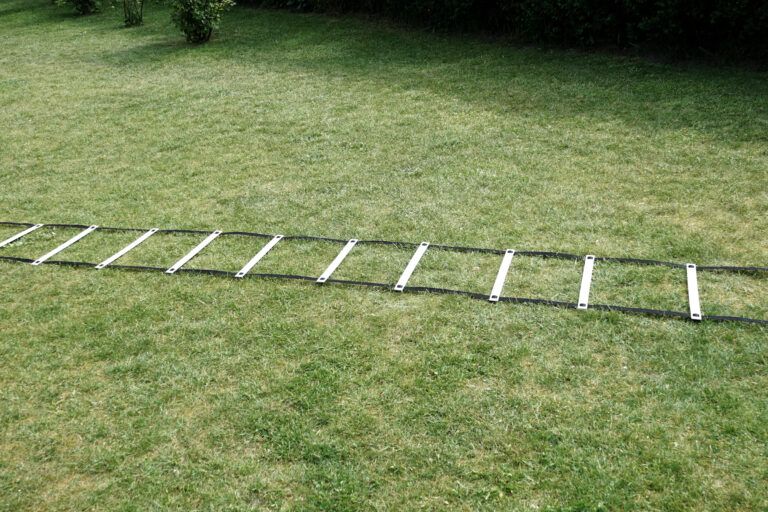 Agility Stige - Træningsstige