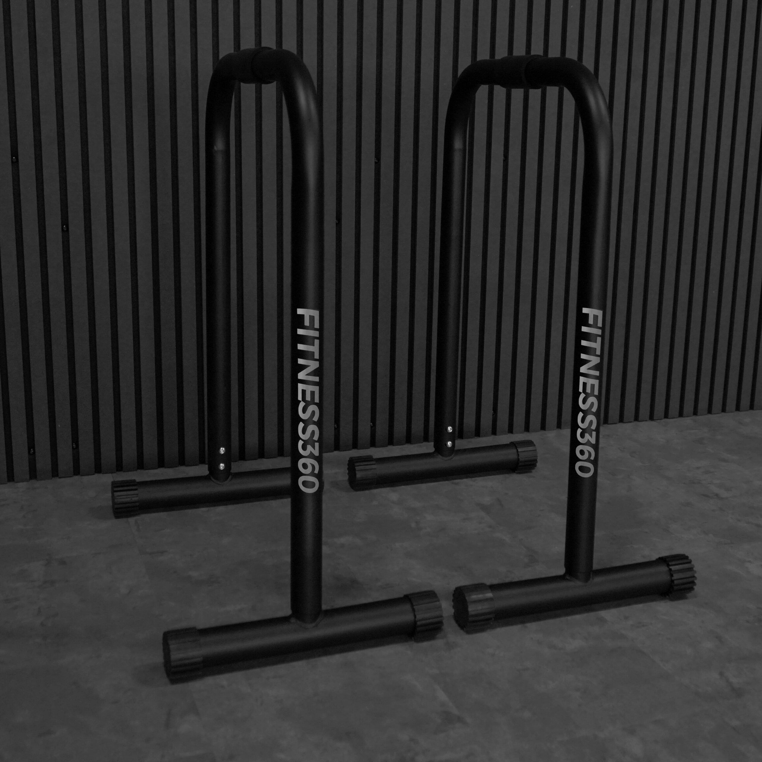 Equalizer - Dip Bars