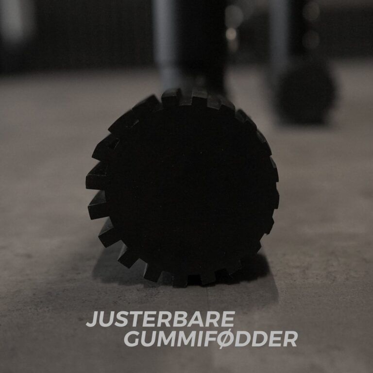 Equalizer - Dip Bars