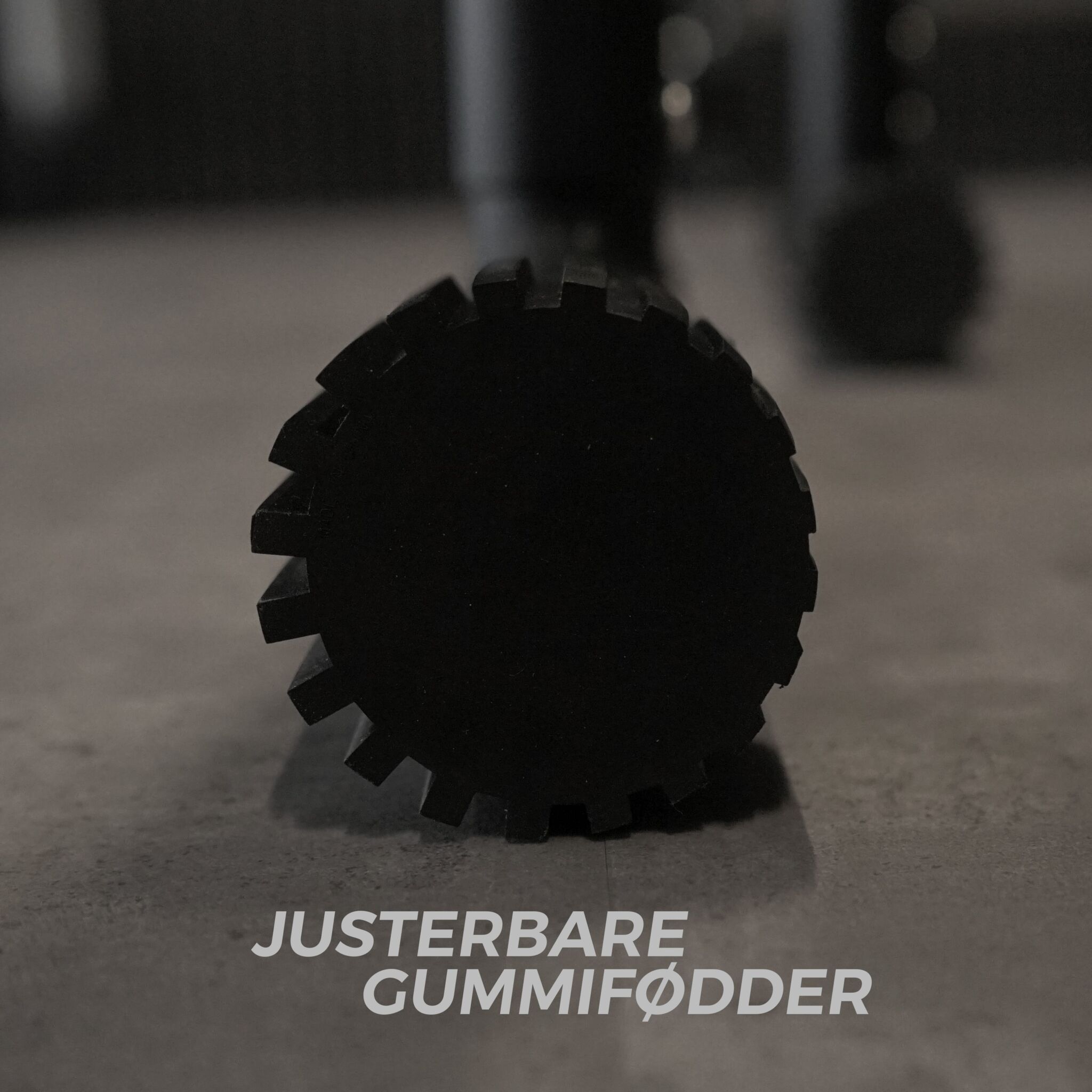 Equalizer - Dip Bars