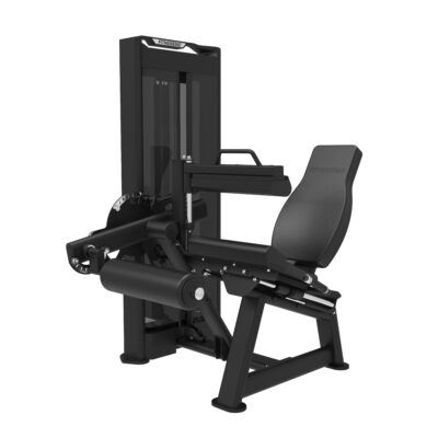 Dual Leg Extension/Seated Leg Curl